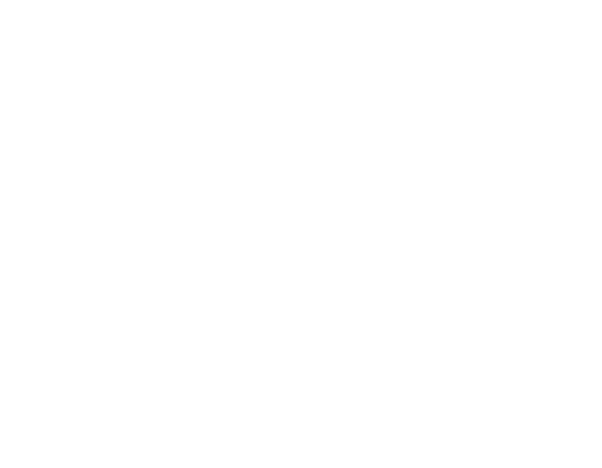 Royal Brute Group crest